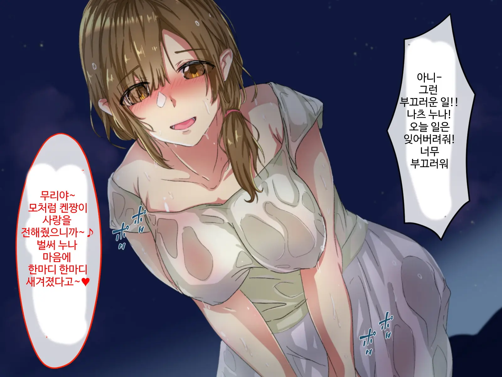 Erokute Chorokute Nandemo Shite Kureru Onee-San-Tachi Wa, Suki Desu Ka? | 야하고 알기쉬운 뭐든지 해주는 누나들은 좋아하나요?